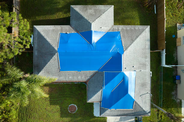 Best Metal Roofing Installation  in Nesquehoning, PA